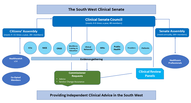 South West Clinical Senate Governance Diagram showing the stakeholders who make up the Clinical Senate